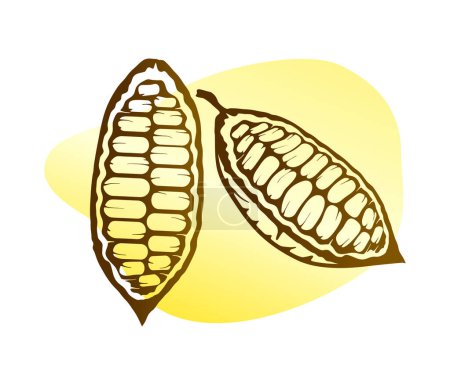 Illustration for Cocoa seeds icon, vector illustration - Royalty Free Image