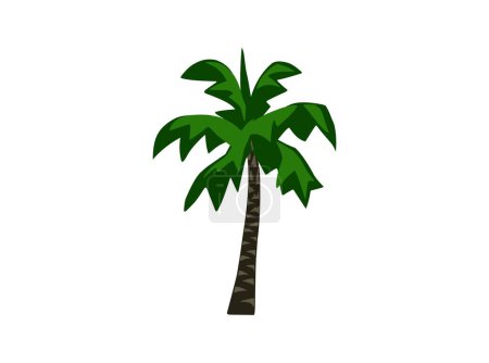 Téléchargez les illustrations : Illustration vectorielle de palmier isolé sur blanc - en licence libre de droit