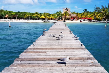 Foto de Muelle en Isla Mujeres. Cancún. Riviera Maya. México 2020 - Imagen libre de derechos