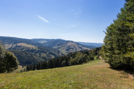 Téléchargez les photos : Einzigartige Schwarzwald Landschaft im Sommer - en image libre de droit