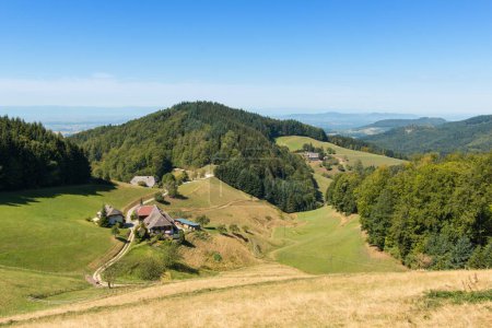 Schwarzwald mit Bauernhaus und Schwarzwaldhaus