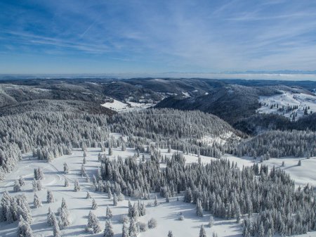 Téléchargez les photos : Luftbilder am Feldberg und Herzogenhorn im Winter mit verschneiten Wldern im Schwarzwald - en image libre de droit