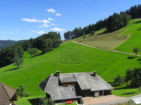 beautiful landscape in black forest with mountains and green grass