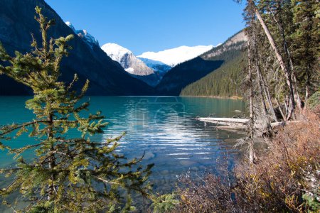 Téléchargez les photos : Lac Louise dans les montagnes Rocheuses - en image libre de droit