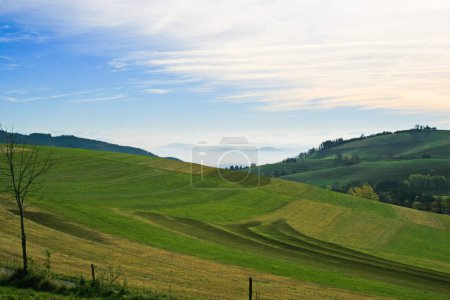 Téléchargez les photos : Beau paysage avec un champ d'herbe verte et ciel bleu - en image libre de droit