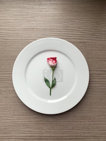 Foto de Una sola flor de rosa y el plato blanco en una mesa - Imagen libre de derechos