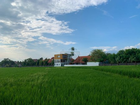 Foto de Eco-villa de lujo con el telón de fondo de campos de arroz en la isla de Bali. El cielo está medio cubierto de nubes. Vista desde el frente - Imagen libre de derechos