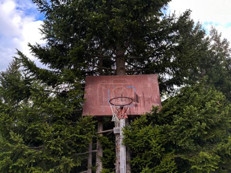 Foto de Un viejo anillo de baloncesto en un pueblo de las tierras altas con un abeto detrás. Cosas familiares inusuales - Imagen libre de derechos