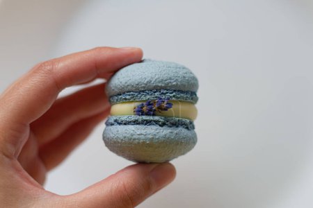 galletas macaron o macaron, tradicional dessert.lavender flavor.dessert.baking.french sweets.bakery.food delivery.macaroons decor.different flavors.homemade cakes.cafe advertisement.beautiful dessert.delicate cream.cooking.gift.hobby.macarons en la mano.