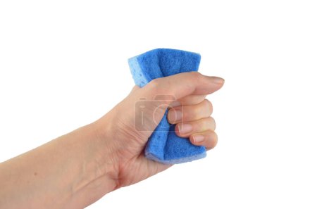 Foto de Una mano (sosteniendo) aprieta la esponja de lavado azul para platos aislados - Imagen libre de derechos