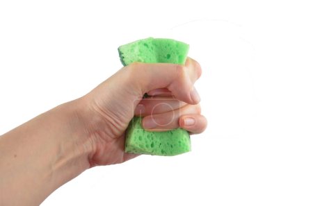 Foto de Una mano (sosteniendo) aprieta la esponja de lavado verde para platos aislados - Imagen libre de derechos