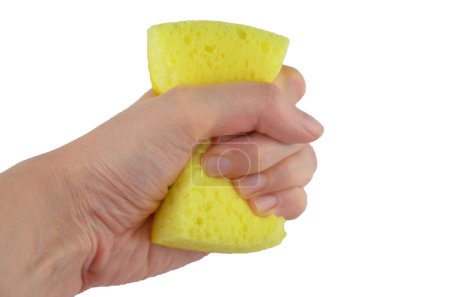 Foto de Una mano (sosteniendo) aprieta esponja de lavado amarilla para platos aislados - Imagen libre de derechos