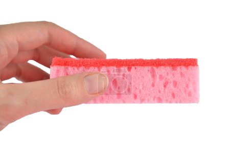 Foto de Esponja de lavado rosa para platos en una mano aislada - Imagen libre de derechos