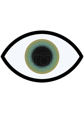 Green eye with yellow spots, icon with a realistic iris