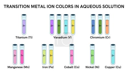Übergangsmetallionenfarben in wässriger (Wasser-) Lösung Illustration: Titan, Vanadium, Chrom, Eisen, Mangan, Kobalt, Nickel und Kupfer