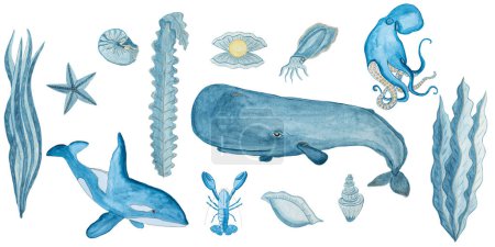 Téléchargez les photos : Ensemble d'éléments avec des animaux marins et des algues - en image libre de droit