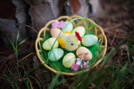 Foto de Cesta de madera de Pascua con polluelo y huevos de colores entre la hierba. Concepto Pascua - Imagen libre de derechos