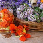 Orange nasturtium flower pickled in alcohol and herbs in a wicker basket.