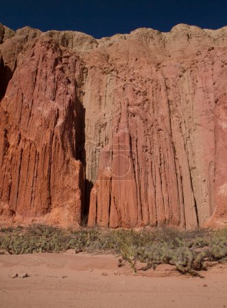 Téléchargez les photos : Géologie. En pleine nature. Vue sur le grès rouge et la falaise rocheuse et le cactus Opuntia poussant dans le désert aride. - en image libre de droit