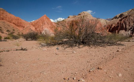 Foto de Paisaje del desierto. Vista de la arena, arenisca roja y formaciones rocosas, colinas, arbustos y arbustos desérticos bajo un cielo azul. - Imagen libre de derechos