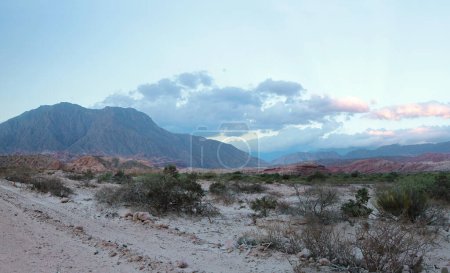 Photo for The desert at sunset. Panorama view of the sand, desert flora and colorful mountains in the horizon with beautiful dusk colors and textures. - Royalty Free Image