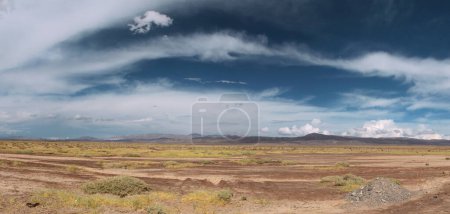 Photo for Desolated landscape. View of the arid desert, sand, flora and mountains under a beautiful blue sky with clouds. - Royalty Free Image