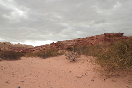 Foto de El árido desierto en un día caluroso. Vista de la arena roja, arbustos desérticos, arenisca y formación rocosa en el fondo bajo un cielo nublado. - Imagen libre de derechos