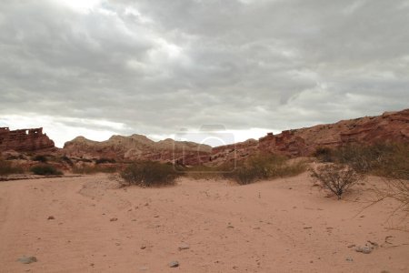 Foto de Cañón Rojo. Vista del árido desierto, arena roja, arbustos, arenisca y formación rocosa bajo un cielo nublado. - Imagen libre de derechos