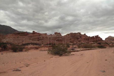 Photo for Red canyon. View of the arid desert, red sand, shrubs bushes, sandstone and rocky formation under a cloudy sky. - Royalty Free Image