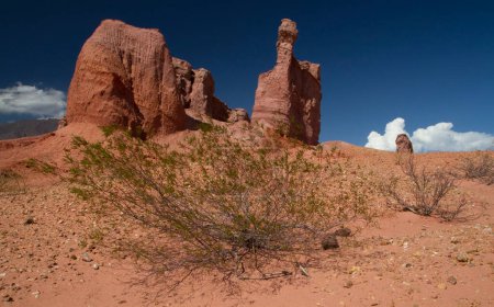 Photo for Desert landscape. View of the arid valley, shrub, red sand, sandstone and rocky formation under a deep blue sky. - Royalty Free Image