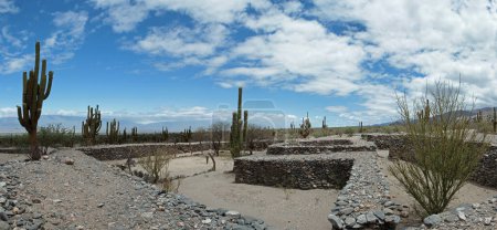 Photo for Architecture and heritage. Panorama view of the city ruins of the Quilmes aboriginal civilization with Inca influence. Ancient structures made of stone surrounded by cacti, Echinopsis, atacamensis. - Royalty Free Image