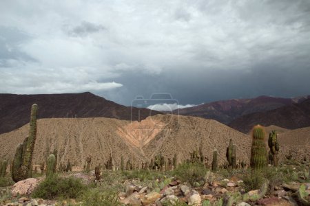 Photo for Desert landscape in the mountains of argentina - Royalty Free Image