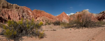 Photo for Red canyon. View of the arid desert, red sand, sandstone and rocky formations - Royalty Free Image