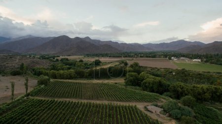 Foto de Agricultura. Vista aérea de los viñedos muy alto en las montañas al anochecer. - Imagen libre de derechos