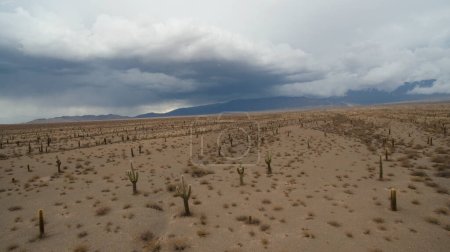 Téléchargez les photos : Vue aérienne du désert aride, des montagnes et du cactus géant, Echinopsis atacamensis, sous un ciel orageux. - en image libre de droit