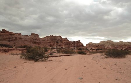 Foto de Cañón Rojo. Vista del árido desierto, arena roja, arbustos, arenisca y formación rocosa bajo un cielo nublado. - Imagen libre de derechos