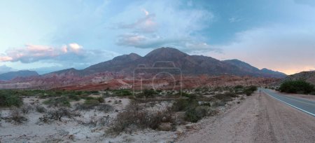 Photo for The desert at sunset. Panorama view of the sand, desert flora and colorful mountains in the horizon with beautiful dusk colors and textures. - Royalty Free Image