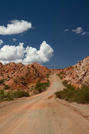 Téléchargez les photos : Voyager le long de la route de terre à travers le désert et les collines rouges. - en image libre de droit