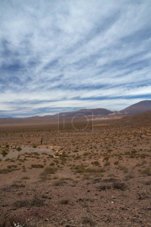 Foto de Valle de la muerte. Vista del árido desierto, arena, coloridas colinas y vegetación bajo un hermoso cielo. - Imagen libre de derechos