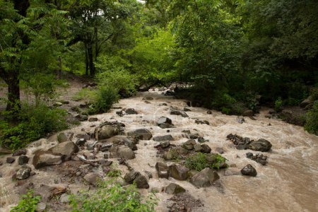 Téléchargez les photos : Ruisseau avec un lit rocheux coulant le long de la forêt tropicale. - en image libre de droit