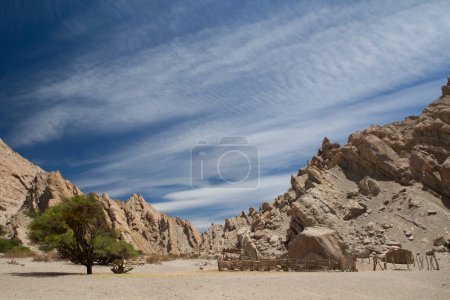 Paisaje rural. Vista de la pluma rústica rancho y valla en el árido desierto. La arenisca y las colinas rocosas en el fondo. 