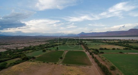 Foto de Agricultura. Paisaje rural. Vista aérea de los campos de cultivo de alfalfa en el valle de la montaña. - Imagen libre de derechos