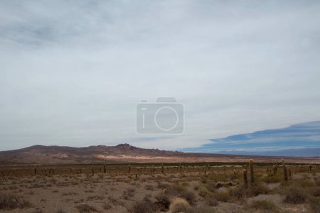 Photo for Desert landscape. View of the arid land, valley, vegetation and mountains in the horizon. - Royalty Free Image