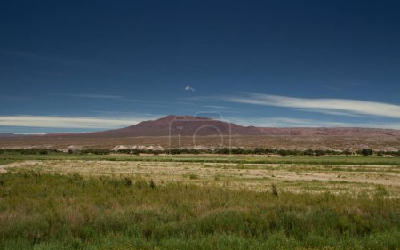 Photo for Rural landscape. View of the green meadow, grasses, sand desert and mountains in the background under a beautiful blue sky with clouds. - Royalty Free Image