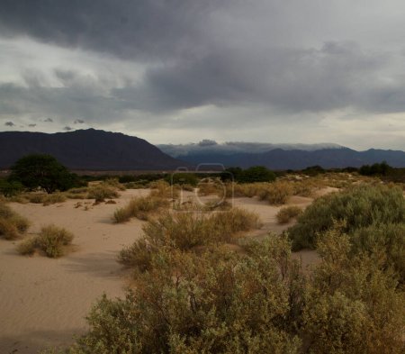 Foto de Paisaje árido. El desierto, la arena, las dunas y las montañas moradas. - Imagen libre de derechos