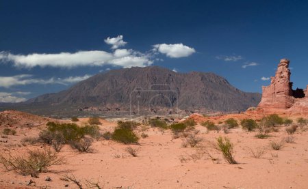 Téléchargez les photos : Paysage désertique. Vue sur le désert rouge sable, montagnes, flore, grès et formations rocheuses sous un ciel bleu profond. - en image libre de droit