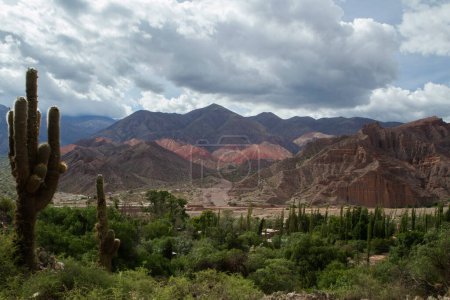 Photo for Panorama view of the colorful mountains in Tilcara, Argentina, under a cloudy sky. The green valley, desert flora and giant cactus, Echinopsis atacamensis also known as Cardon by the locals. - Royalty Free Image