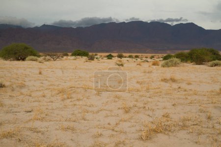 Téléchargez les photos : Texture naturelle. Vue sur le désert aride, le sable, la végétation et les montagnes. - en image libre de droit