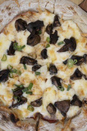 Téléchargez les photos : Fond de pizza. Vue de dessus d'une pizza au provolone et fromage mozzarella, sauce tomate et champignons. - en image libre de droit