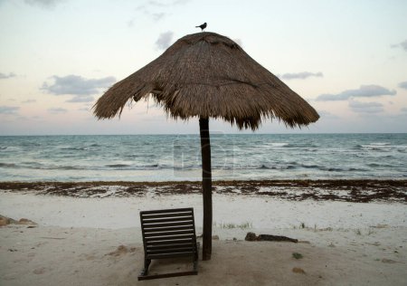 Téléchargez les photos : Loisirs au paradis. Vue sur la plage tropicale au coucher du soleil. Un oiseau sur le parasol de foin, le lit de la plage, sable blanc et les vagues de l'océan en arrière-plan. - en image libre de droit